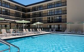 The Harrison Downtown Hollywood